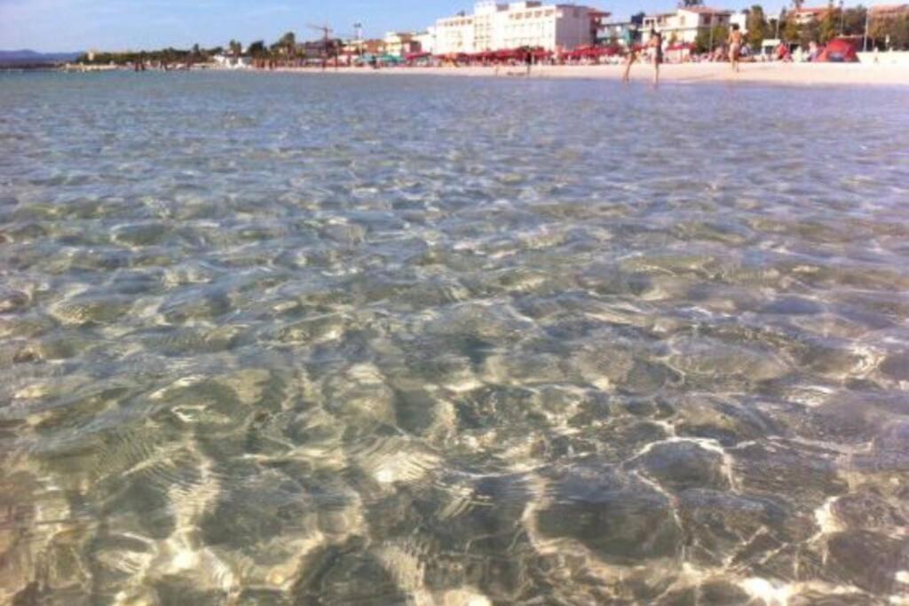 Alghero Sun & Sea - Spiaggia A 50 Metri Dış mekan fotoğraf